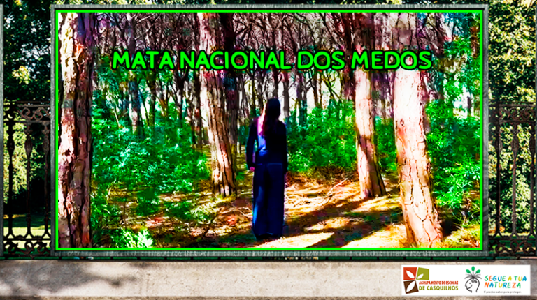 Aluna premiada no Segue a Tua Natureza 2026