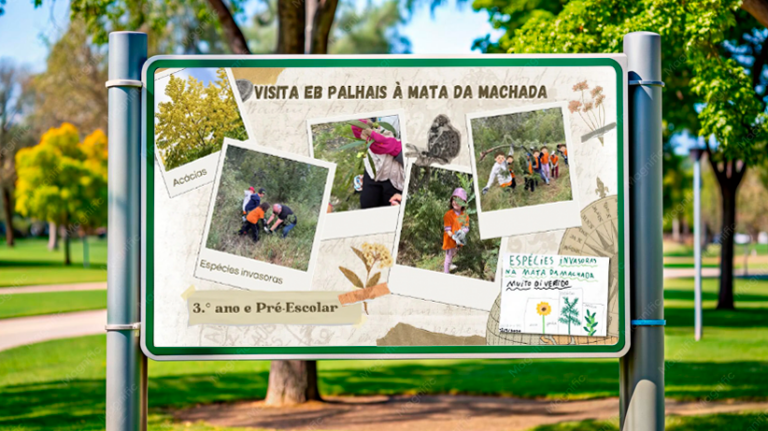 Espécies Invasoras na Mata da Machada